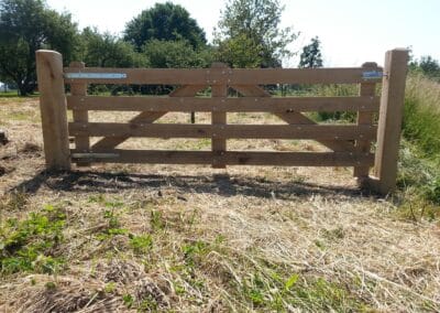 Landhek Kleverkamp 15